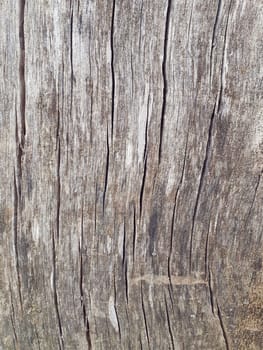 wood texture background surface with old natural pattern