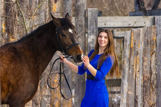 Portrait of a beautiful girl in a blue dress with a horse against the background of an old wooden fence