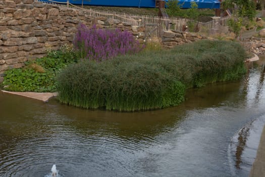 Drainage ditch or small pond in the marsh on the North Sea