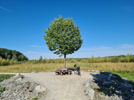 Bike tour through a beautiful park