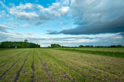Mown farmland and upcoming clouds on the sky, Nowiny, Lubelskie, Poland