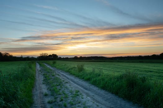 Dirt road between green fields and clouds after sunset, Nowiny, Lubelskie, Poland