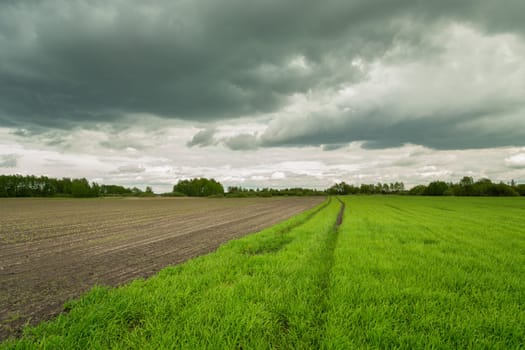 Dark clouds over the fields on a spring day, Nowiny, Lubelskie, Poland