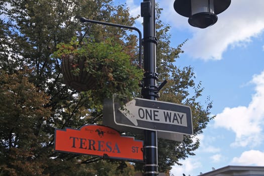 One way sign and orange Teresa Street sign hanging on a black pole in Sleepy Hollow in the New York State