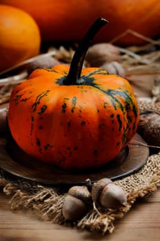 Autumn concept. Pumpkin on wooden plate.