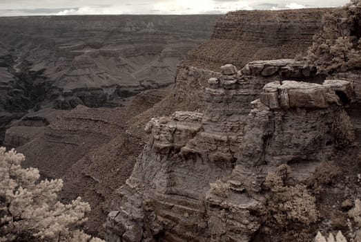 Sepia tone late afternoon in the Grand Canyon Arizona