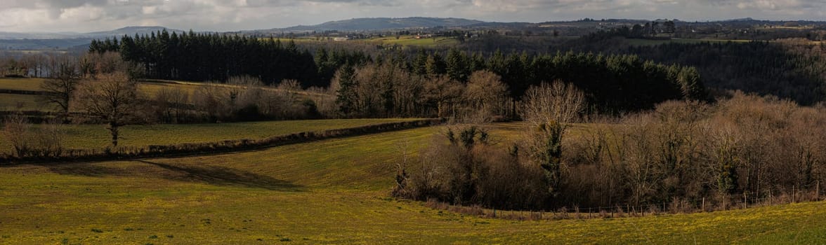 Blue landscape with hill and forest and cloudy sky