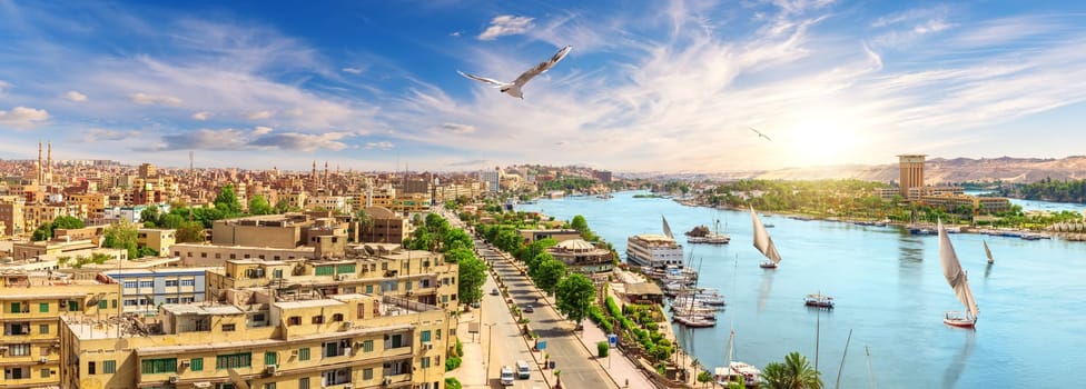 Panorama of Aswan and the Nile from above, beautiful scenery of Egypt.