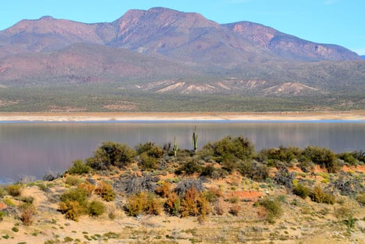 Mountain by Roosevelt lake in Central Arizona