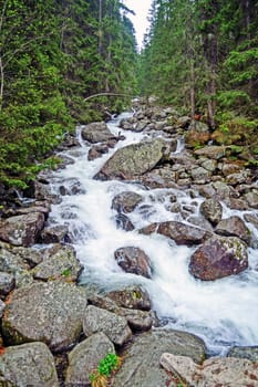 Creek in High Tatra Mountains , Slovakia