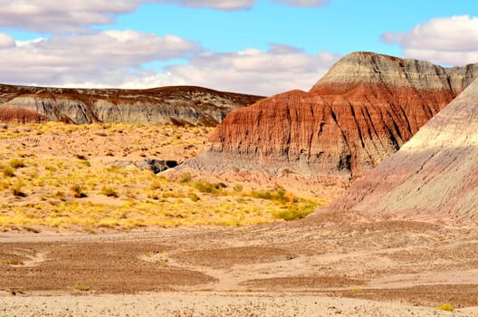 Scenic landscape of the ancient petrified forest in Arizona
