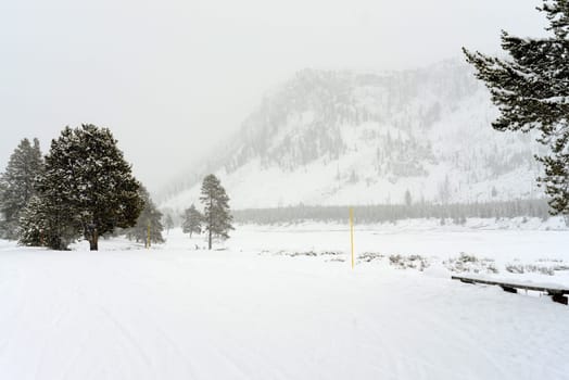 Road marker covered with snow in Yellowstone National Park