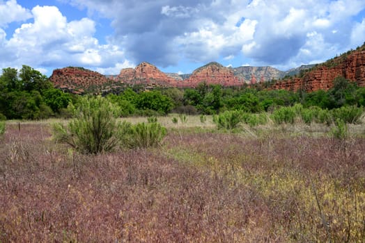 Sedona Arizona red rock country and mountains landscape