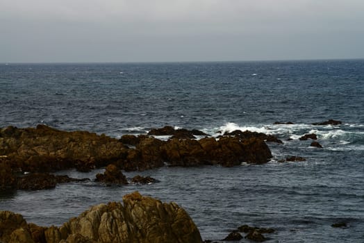Asilomar State Marine Reserve Monterey Bay California