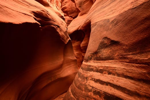 Sunlight coming into Rattlesnake Canyon on the Navajo Indian reservation in Northern Arizona