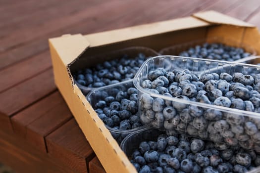 Box, crate or container with collected fresh blueberries. Berries agriculture business. Farmer cultivating and harvesting blueberry. Horticulture industry. Healthy eating. Wooden plank background