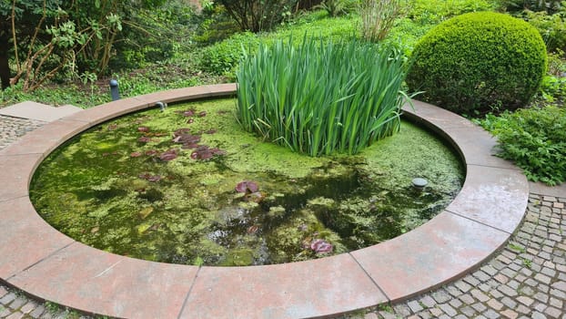 Fountain in the landscaped garden