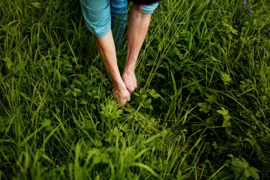 Environmental Farmer hands reaching in greens. Gardening