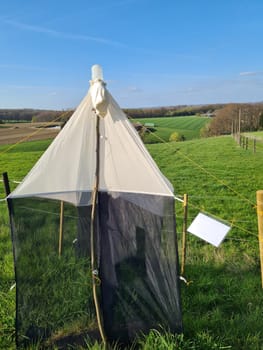 Entomologists, insect scientists who collect moths, beetles and other insects with this net