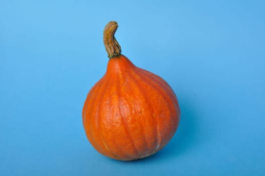 pumpkin on a blue background