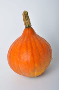 pumpkin on a white background