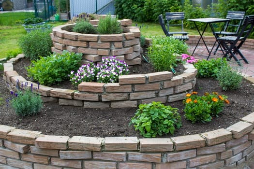 herb spiral in the garden with herbs and flowers
