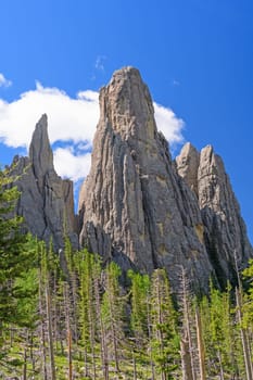 Granite Monoliths Jutting Out of the Ground in the Black Hills in Custer State Park in South Dakota