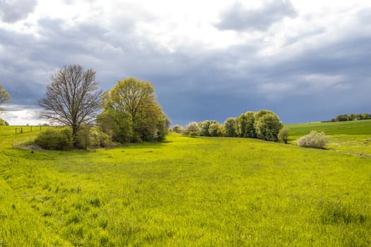 Meadows with dramatic Clouds with meadows and trees