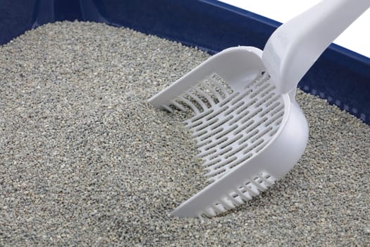 A scoop in a blue cat litter tray