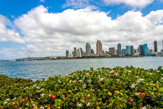 Day along coastal La Jolla, a tourist destination in San Diego,California, America.