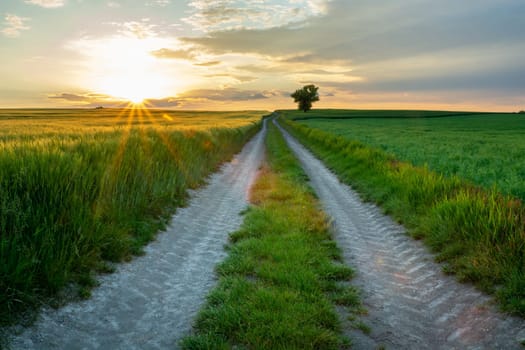 The sun hides behind the clouds and a dirt road through farmland, Staw, Lubelskie, Poland