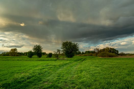 Green meadow with road and rain cloud, Nowiny, Lubelskie, Poland