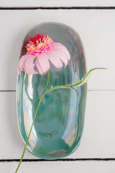 Paper flower echinacea on oval turquoise platter