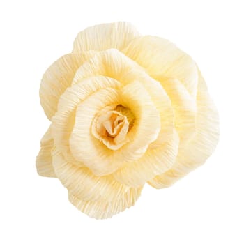 Blossom of a yellow rose paper flower isolated on white background