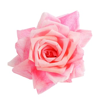 Blossom of a pink rose paper flower isolated on white background