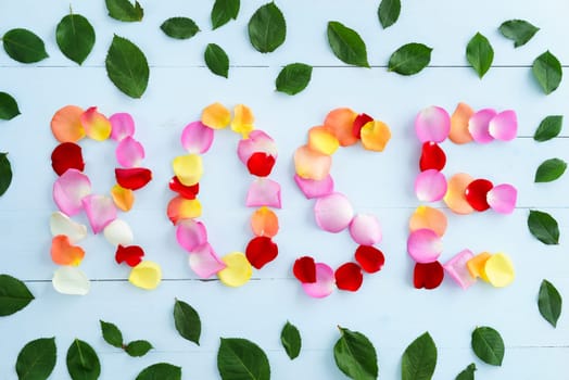 Word rose formed out of colorful rose petals on light blue background