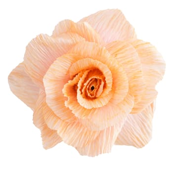 Blossom of a peach rose paper flower isolated on white background