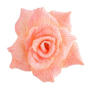 Blossom of a pink rose paper flower isolated on white background