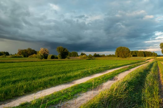 Rainy cloud and rural road through the fields