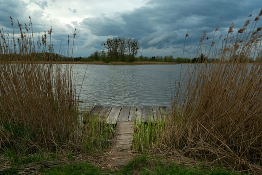A small fishing pier in the reeds and cloudy sky, spring day