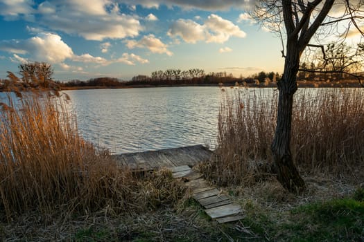 A wooden pier on the lake shore in reeds, Stankow, Lubelskie, Poland