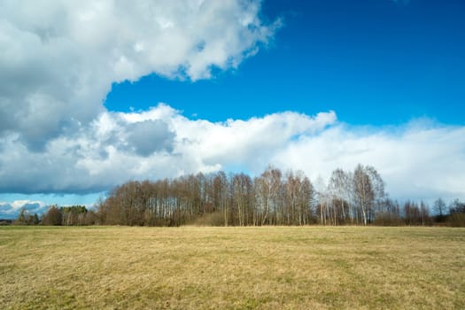 Meadow in front of a small forest and clouds on the sky, March day