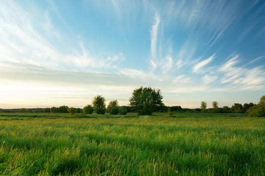 Fantastic clouds over the green wild meadow, Nowiny, Poland