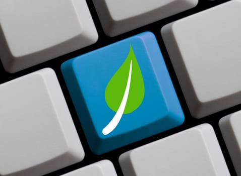 Computer keyboard showing Ecology Concept- 3D illustration