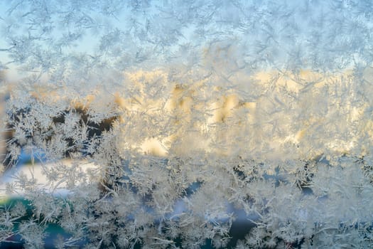 Ice flowers on a window in cold weather in winter