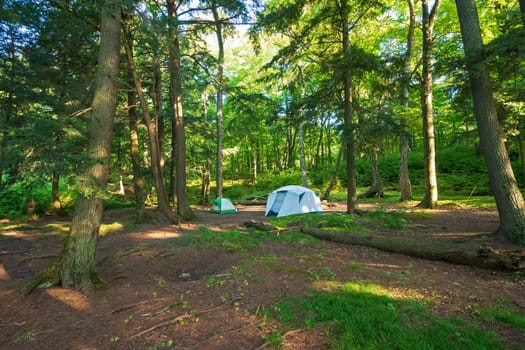 Quiet Campsite in the North Woods on Mountain Lake in the Sylvania Wilderness in Michigan