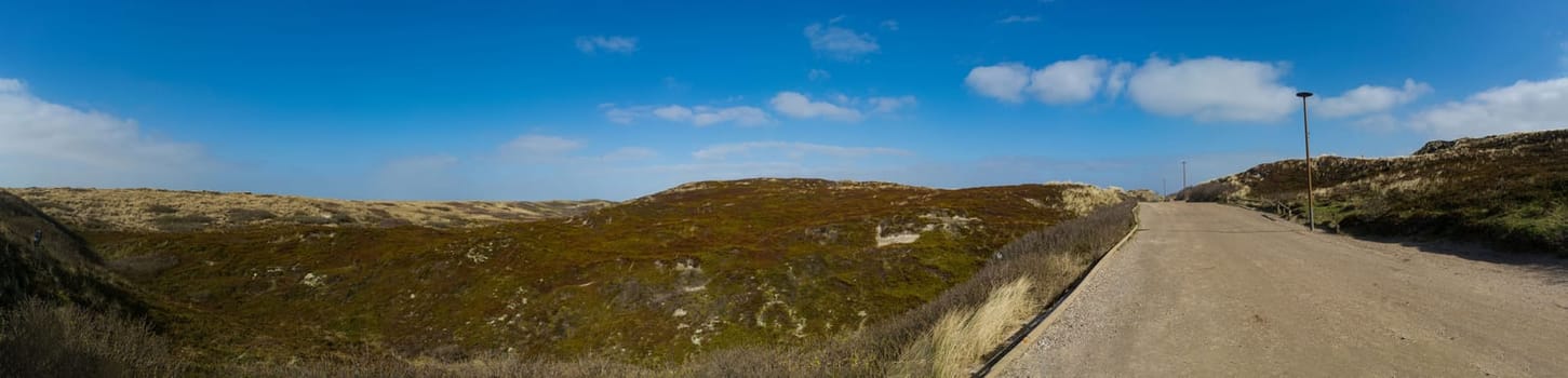 Dunes on Sylt island panorama. Sand dunes covered with moss