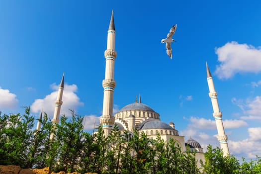 Seagull flies by Gorgeous new mosque of Istanbul, the Camlica Mosque, Turkey.