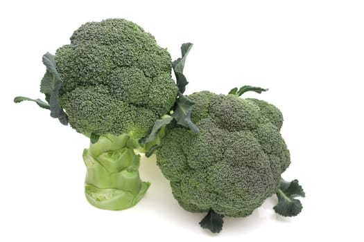 close up of fresh green broccoli isolated on white background