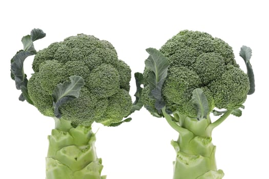 close up of fresh green broccoli isolated on white background